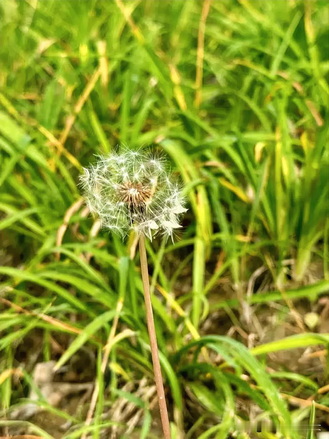 🥂向前迈进，成为连自己也会爱上的人