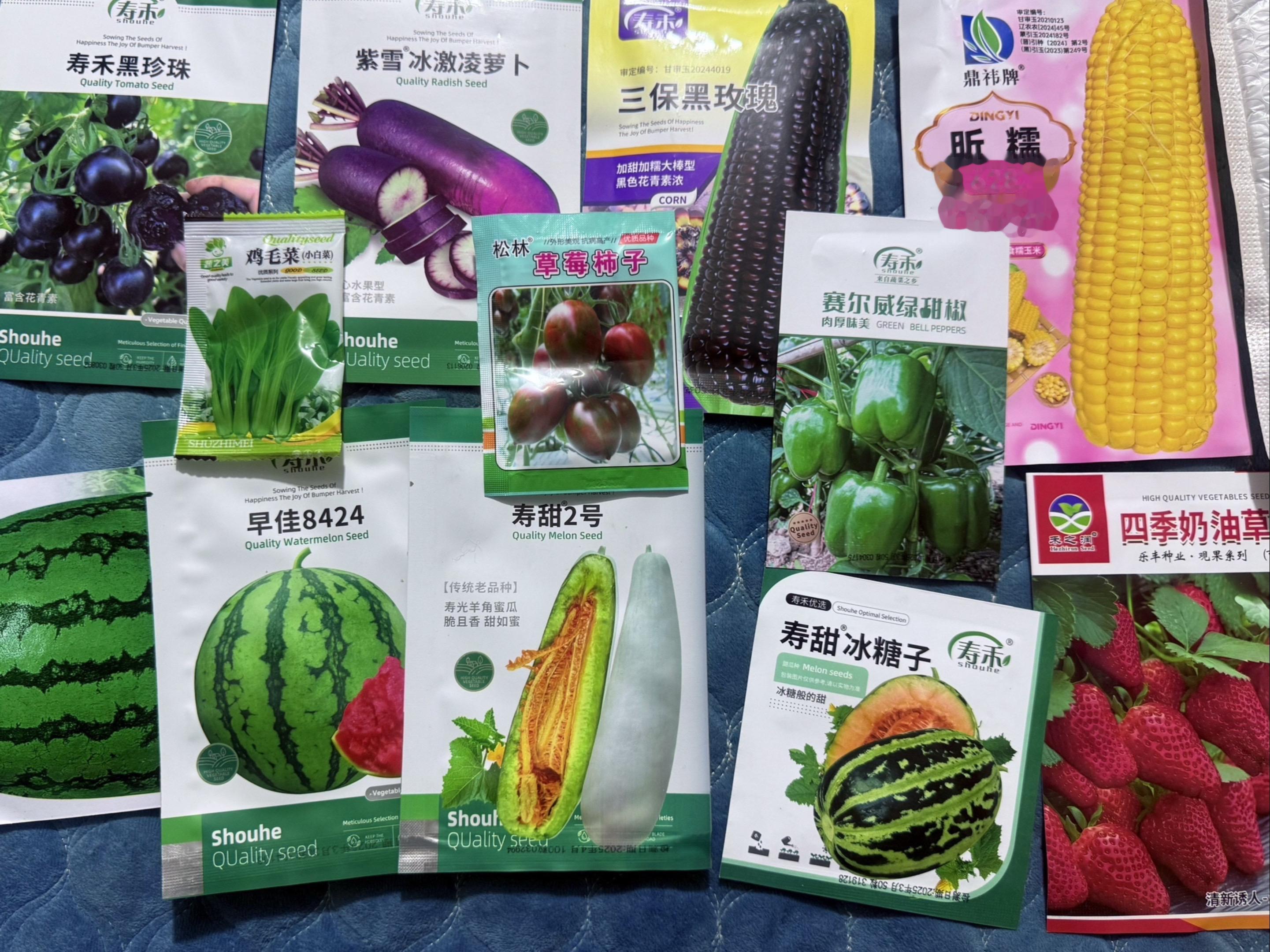 第一次希望成功吧