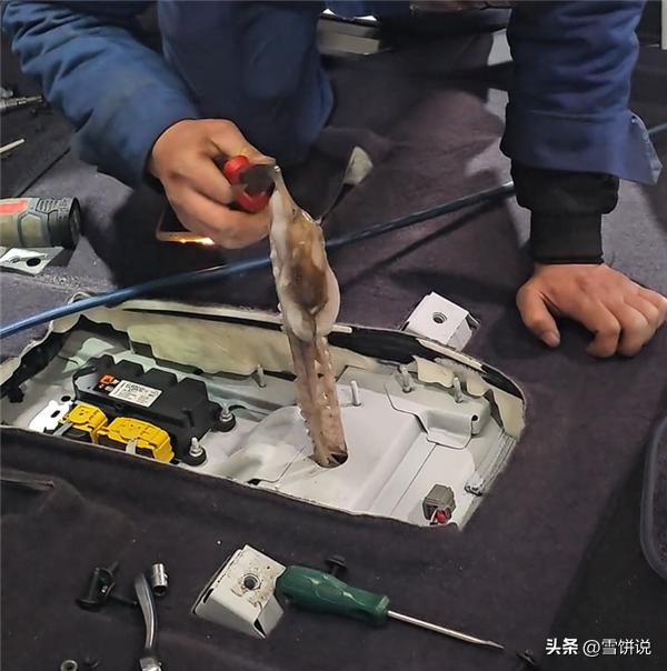 山东聊城，男子在市场买了点八爪鱼准备回家吃，万万没想到，开车时八爪鱼被甩出来，还