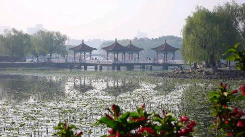 寻觅证券板块的龙头
证券板块经过两天的上涨，基本宣告探明底部。随着大金融板块中的