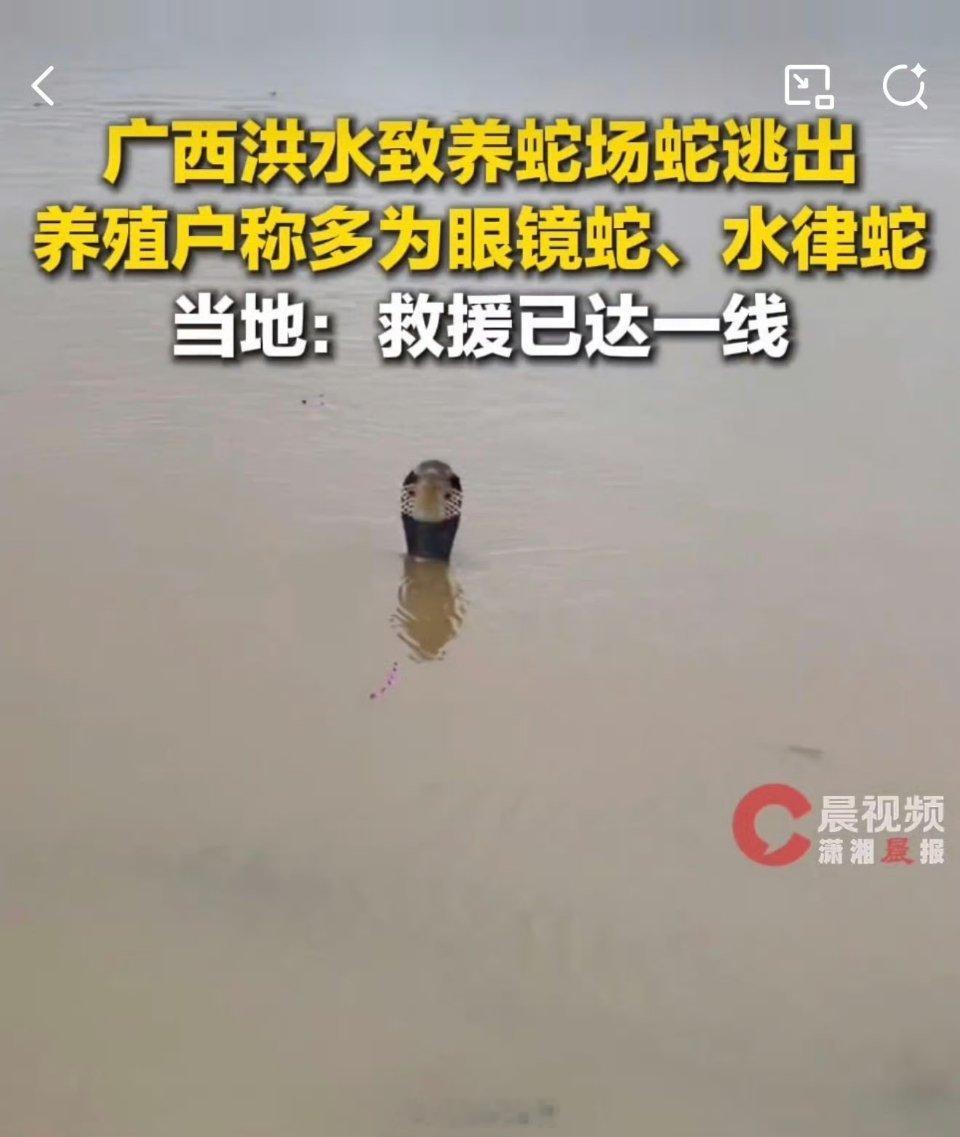 洪水致养蛇场蛇逃出有眼镜蛇这不雪上加霜吗，一口下去就完犊子，别说救援了！