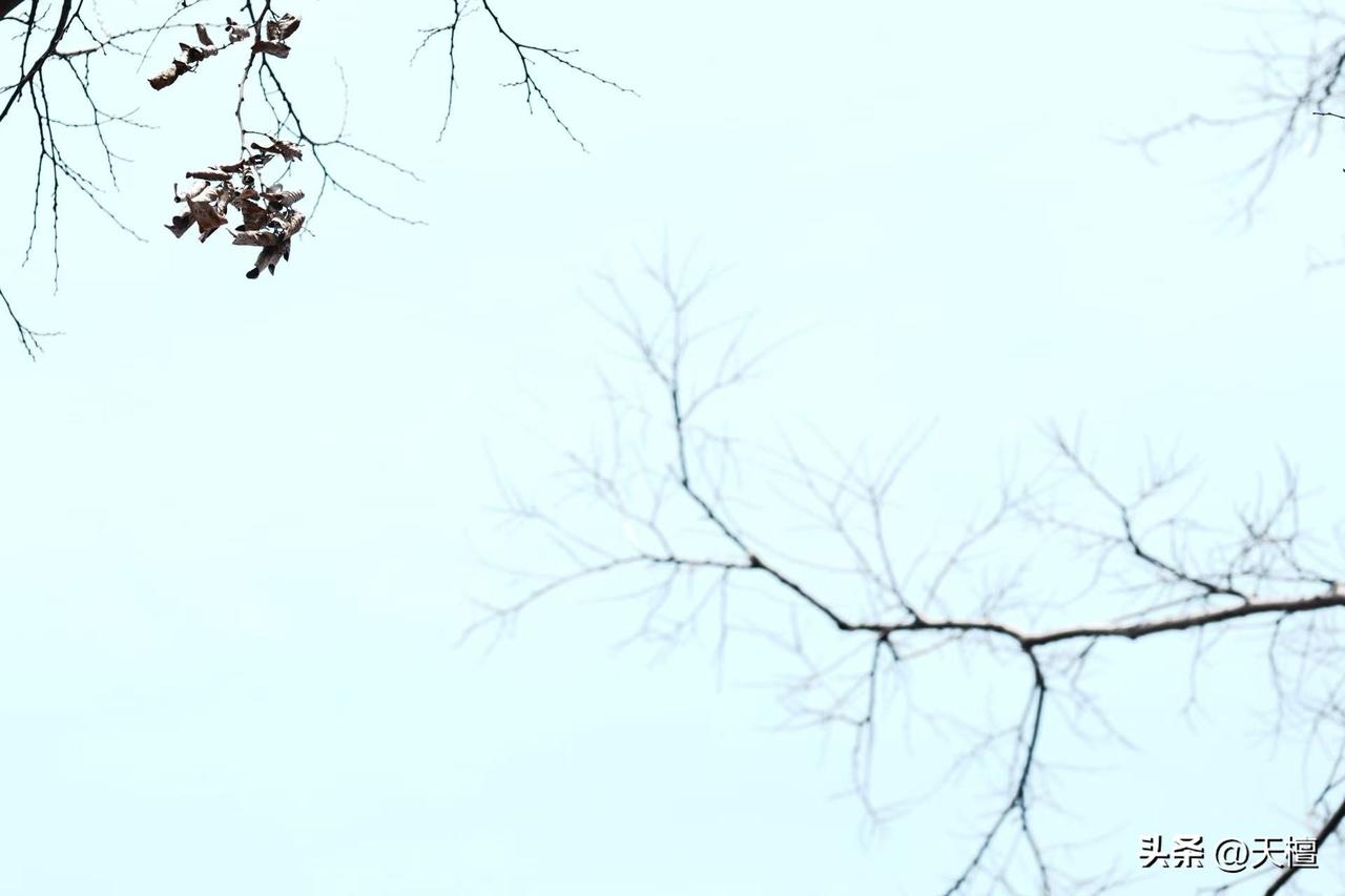 对于周期的理解，一个朋友用两张图进行了表达，经典！[赞][赞]