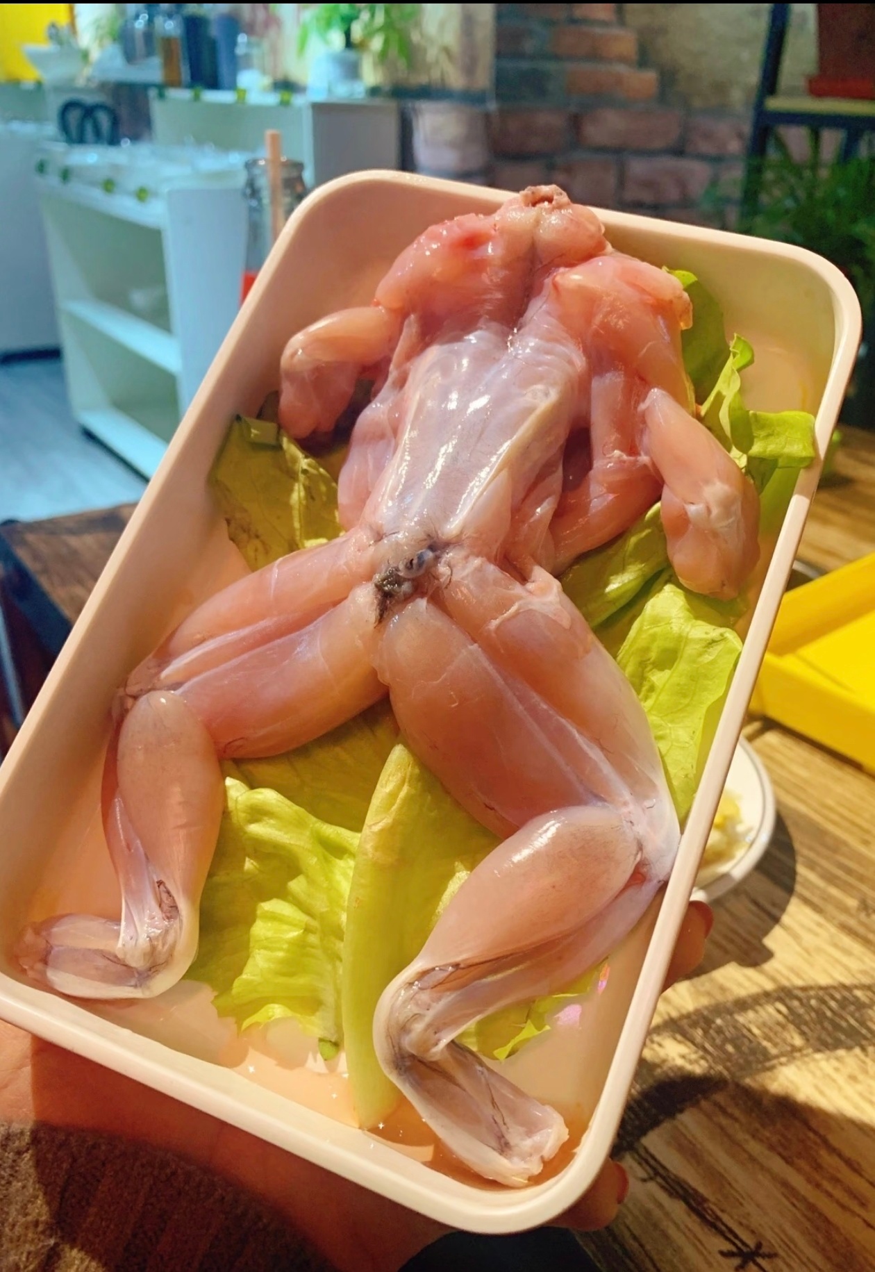 牛蛙 抗生素 爱吃牛蛙的天塌了