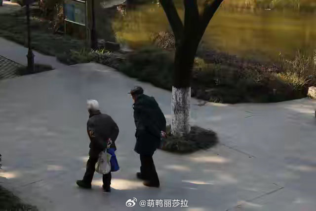 老人越来越宅或是社会衰弱很多子女日常只关注老人饮食、体检指标，忽略了长辈从喜爱出