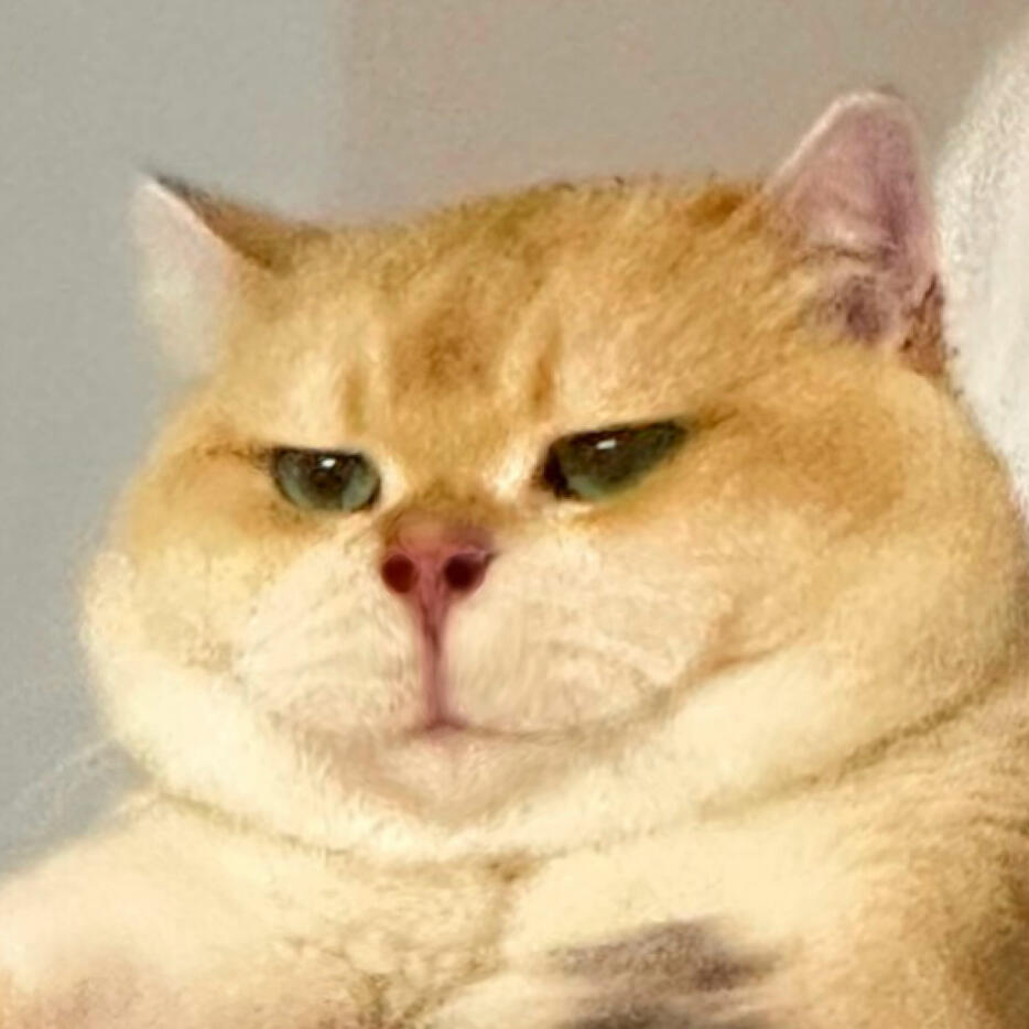 另外，你能来剧场第一排看我吗我沉默了她以为我不想去第一排 ​​​