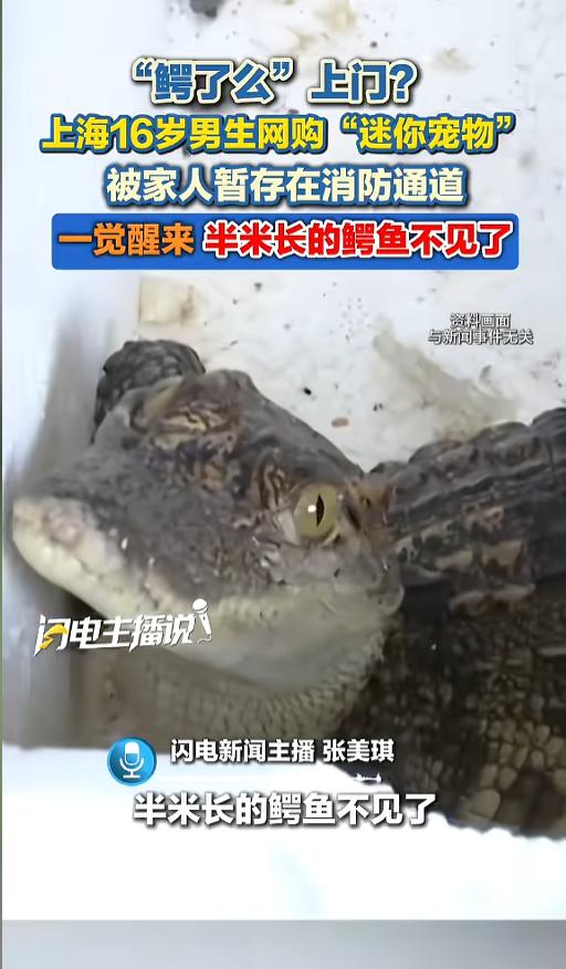 “太吓人了！”近日据媒体报道，上海，一16岁男生因猎奇心理，在网上买了一只暹罗鳄