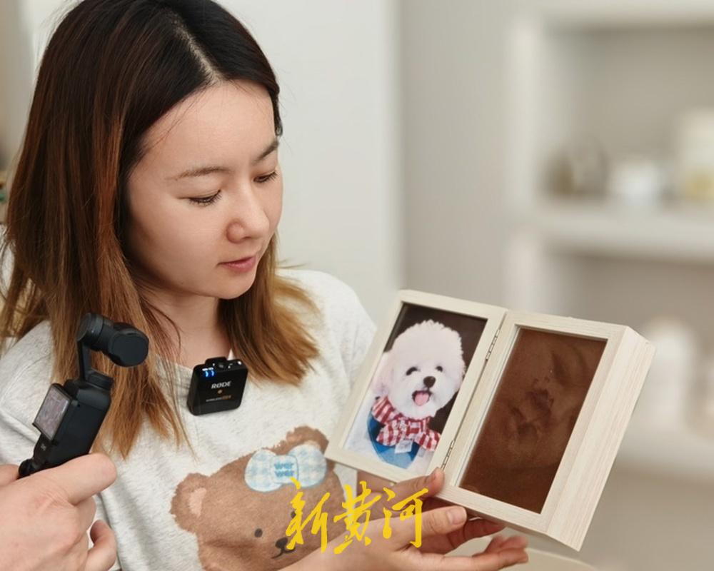 在告别中学会珍惜当下，离开大厂后她成为宠物殡葬师！整理宠物小小的身躯，安放在玩具