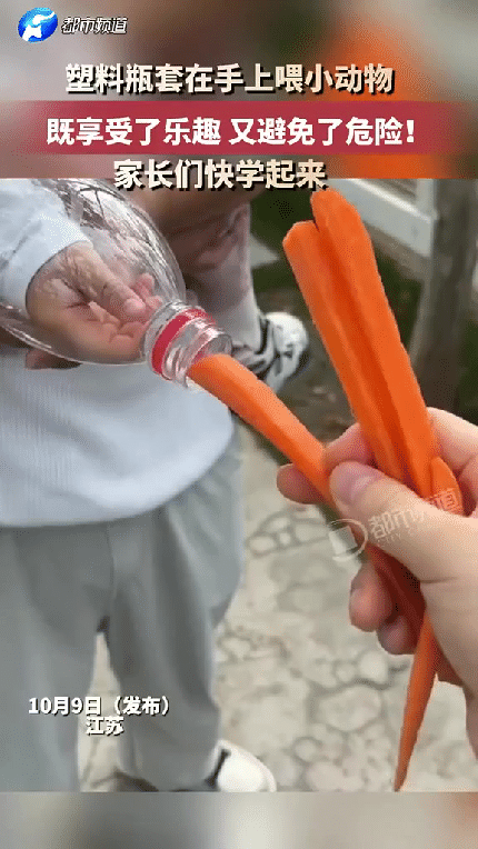 太有才了，江苏，一位家长带娃喂小动物的方法火了，她不是硬拦着孩子，也不用全程提心