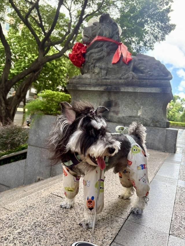 当痛苦消失，快乐是否存在？
百无聊赖的国庆假期，其实并不快乐。
光是回到农村老家