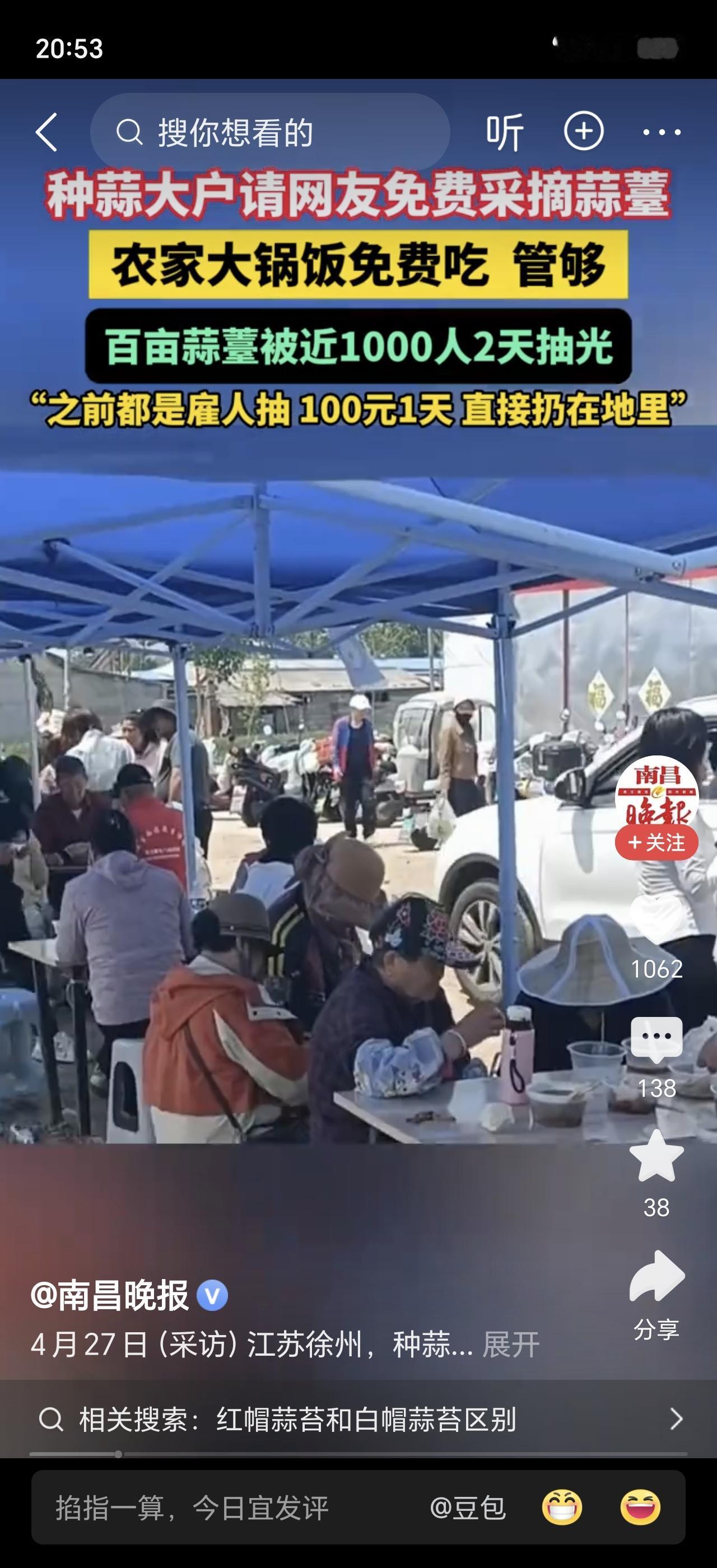 “地里蒜苔随便拿，锅里午饭随便扒！”江苏徐州一位种蒜大户发了个视频，结果让人意想