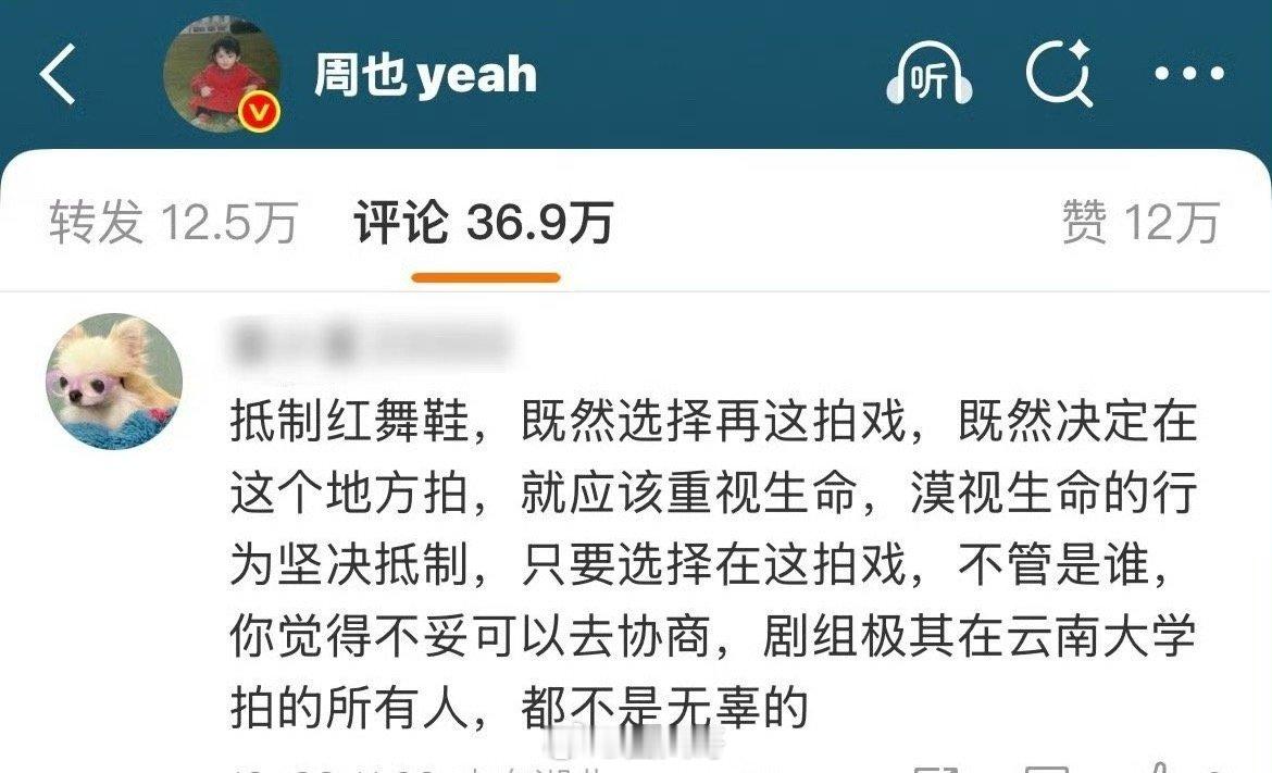 网友喊话周也道歉周也、王子奇新剧《红舞鞋》剧组撞猫的事，引发网友热议。现在还有网