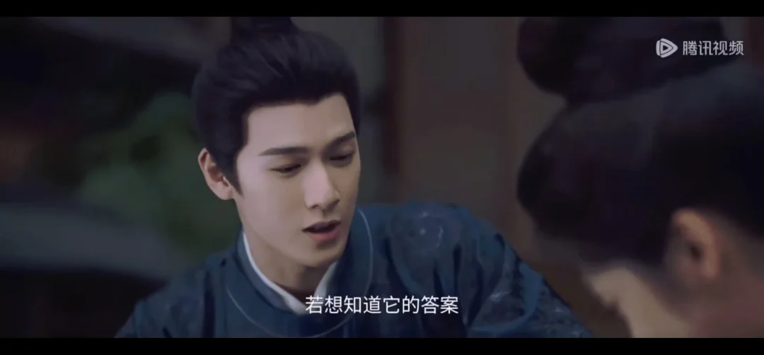 以后的领养请大力推广聘猫礼！