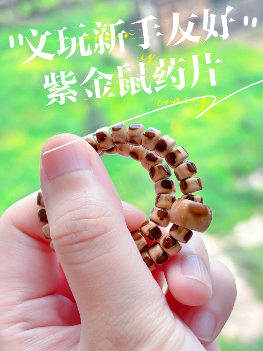 👀花皮紫金鼠药片珠，为何如此受欢迎❓