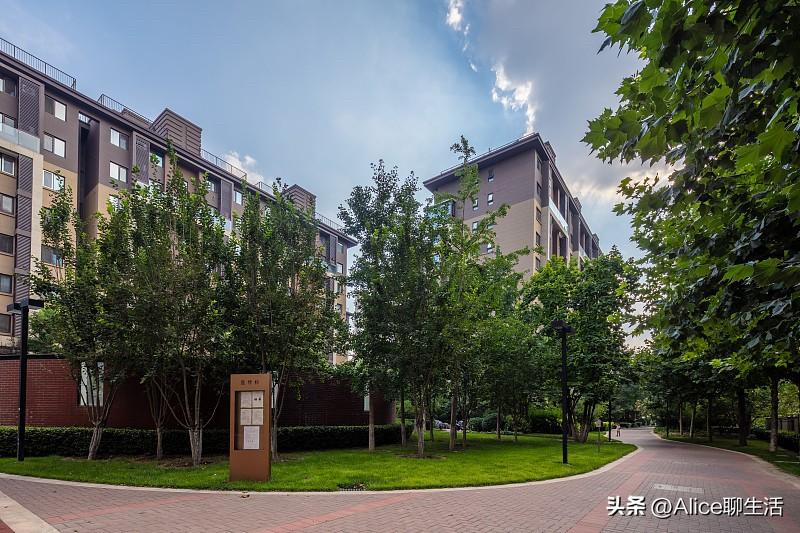 同住一个小区才懂 婆媳同住 毁掉的不止是体面 还有亲情！

当初觉得小区的张姨是