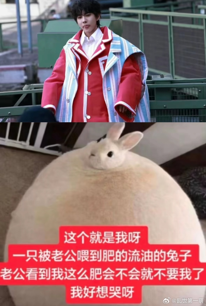 我真宝了两只猪 
