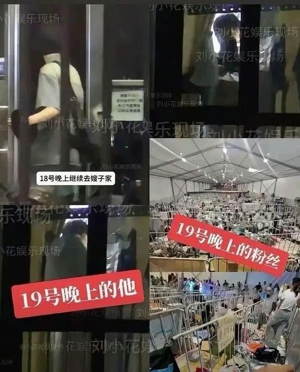 田栩宁这事儿闹的，粉丝的钱包和嫂子的包，到底哪个更实在？

这事儿说起来真是让人