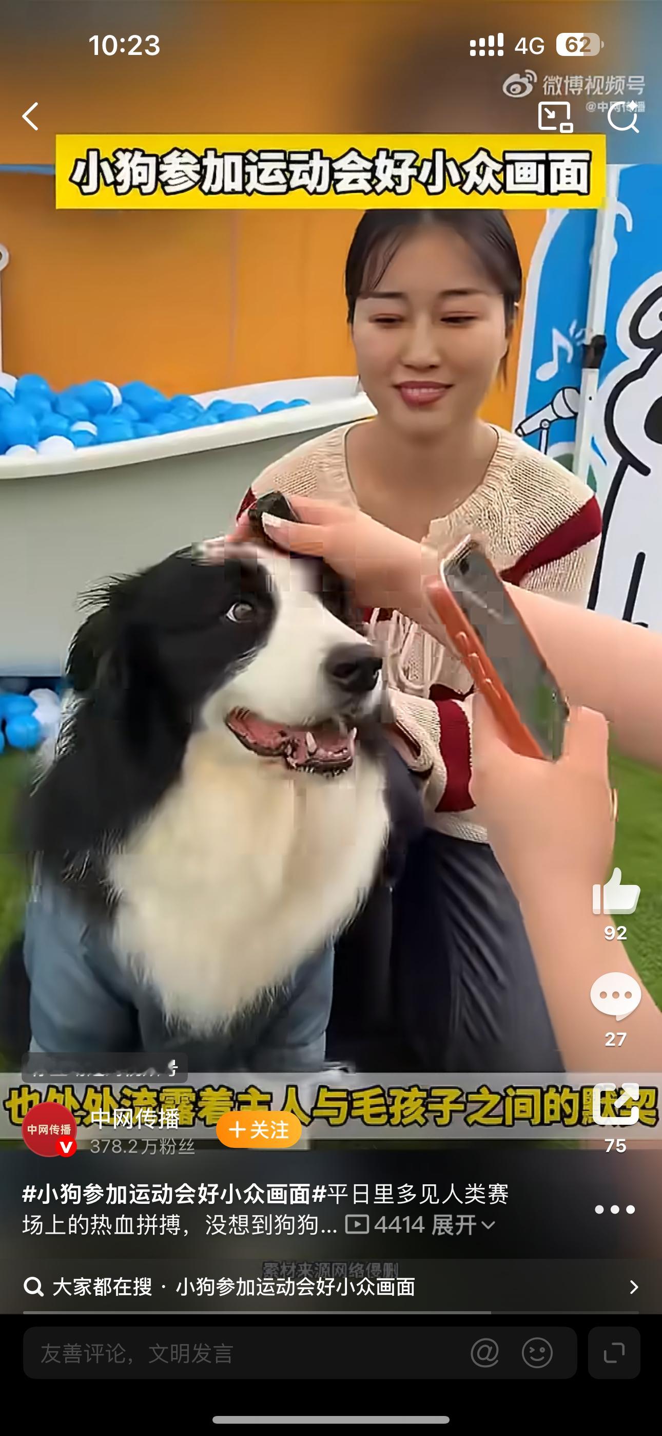 小狗参加运动会好小众画面这个世界上不能没有小狗！！ 