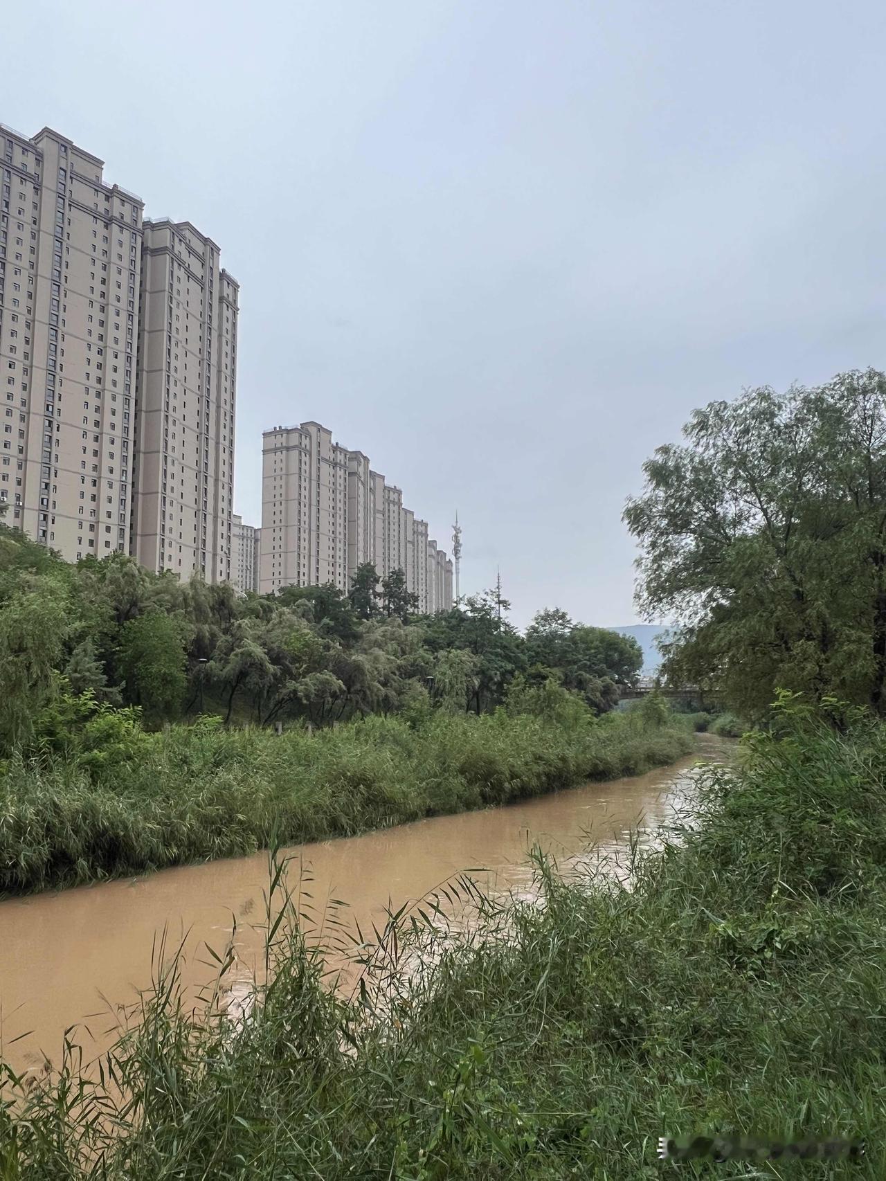 入伏第二天，又是一个雨天。7月16日，兰州再下一场连阴雨，淅沥的雨水一直不停，这