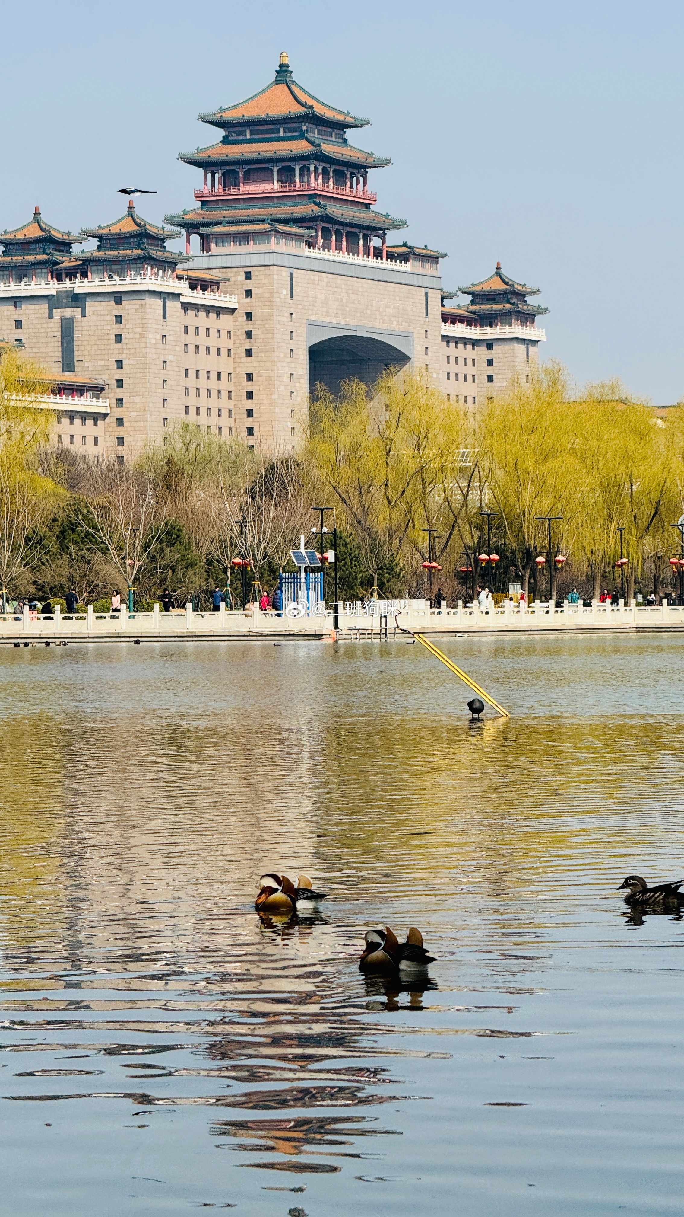 天儿暖和了，家门口溜溜公园。生活手记兵长日记 北京·莲花池公园