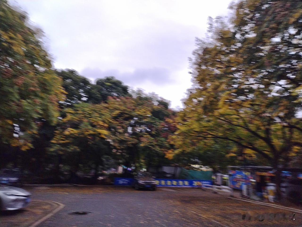 虚荣心当然每个人都有，大家都想在大家面前展现出杰出的特征，获得大家的称赞和较高的