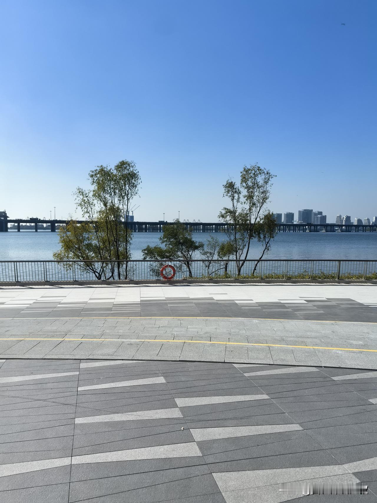 你的思考很美——“从悲哀中落落大方走出来”的过程确实是最动人的人生艺术。面对八岁