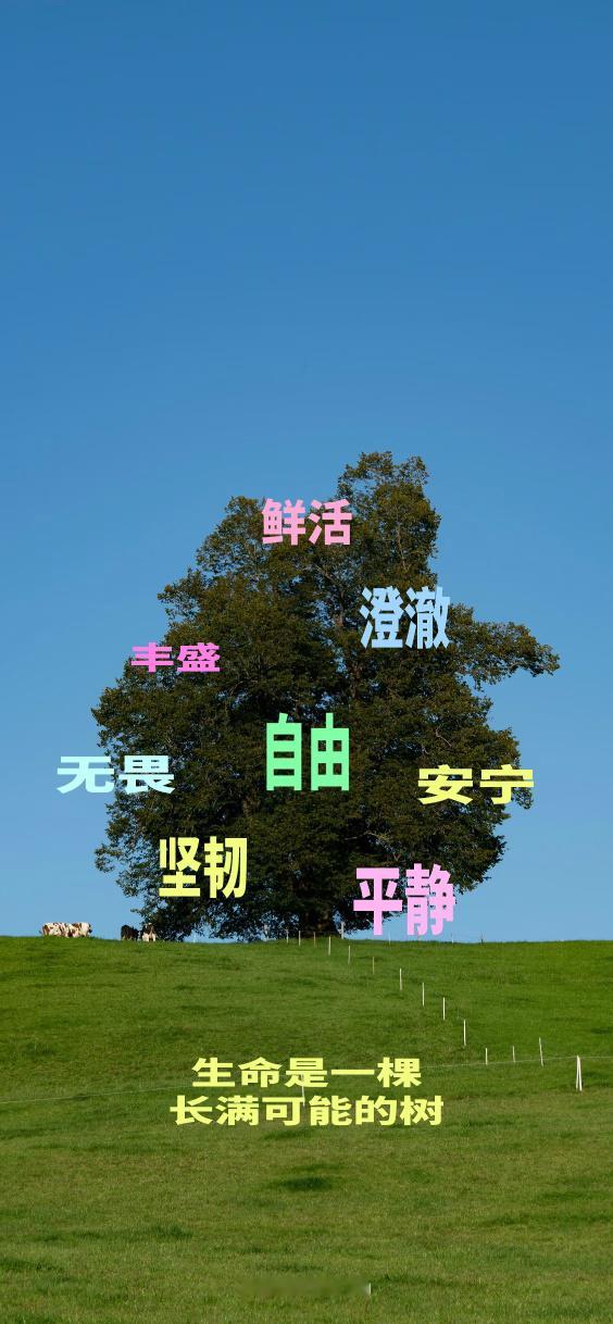 一组文字系列壁纸 