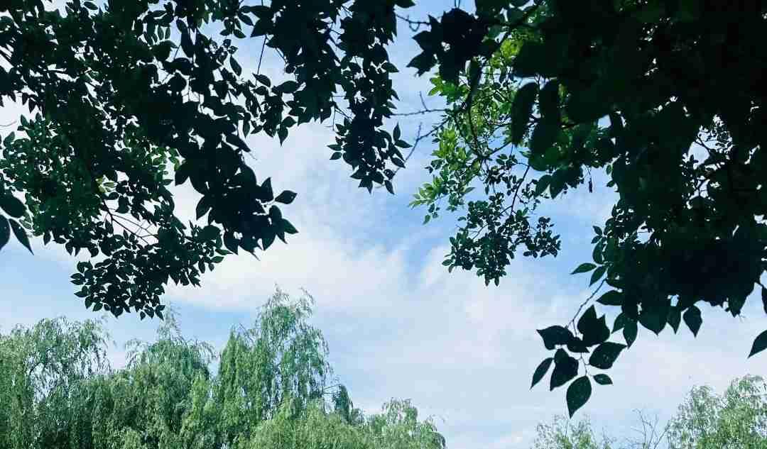 [锦鲤到来]你的风雨，只能你自己来渡

人到中年，会发现一个扎心的真相：当初找的