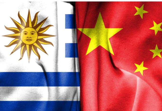 中国和乌拉圭或将迎来关系新突破！在如今世界各国纷纷来到中国寻求合作的今天，奥尔西