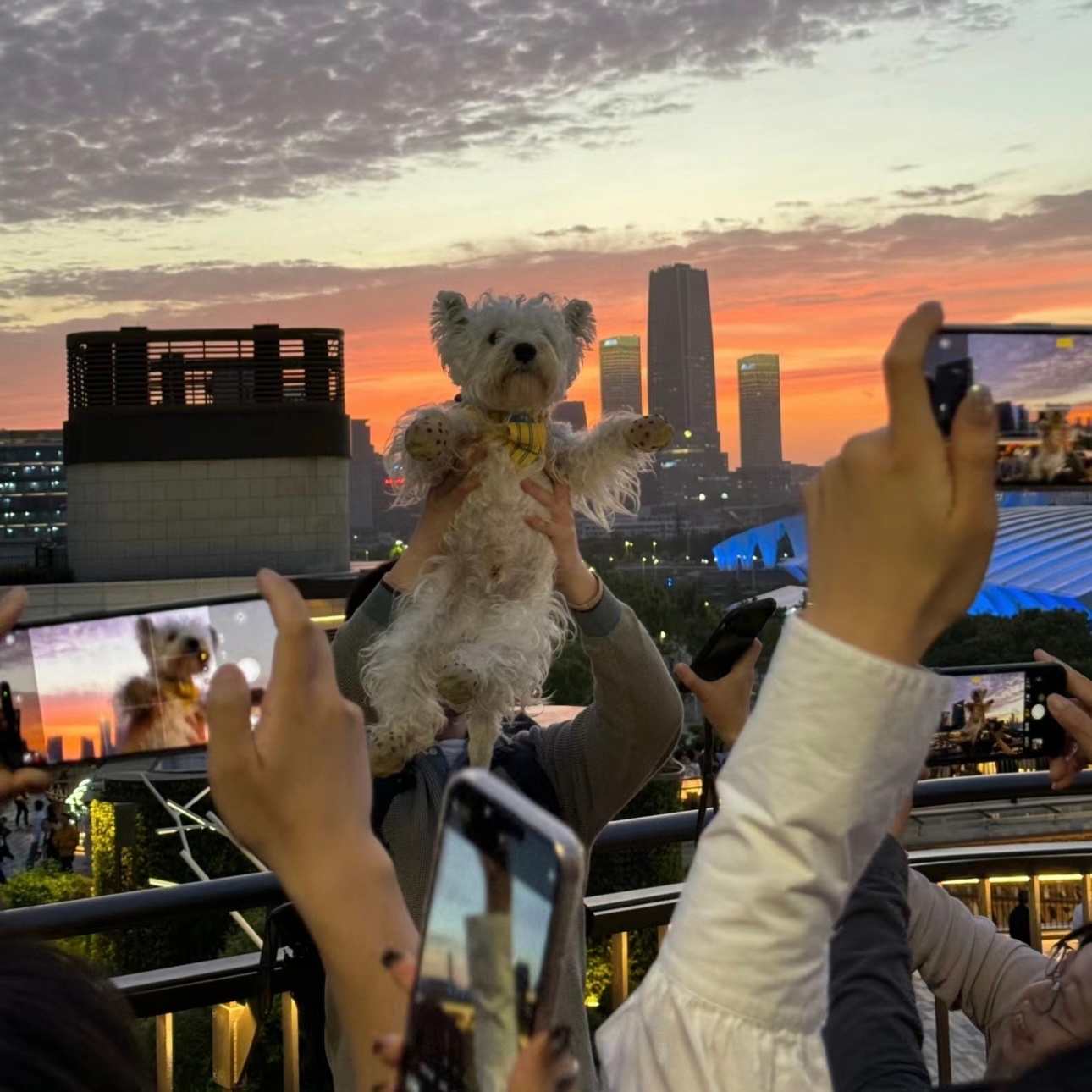 20240613日运指南戊申日今天的这个日课状态基本是不错的嗷。早上也给各位提了