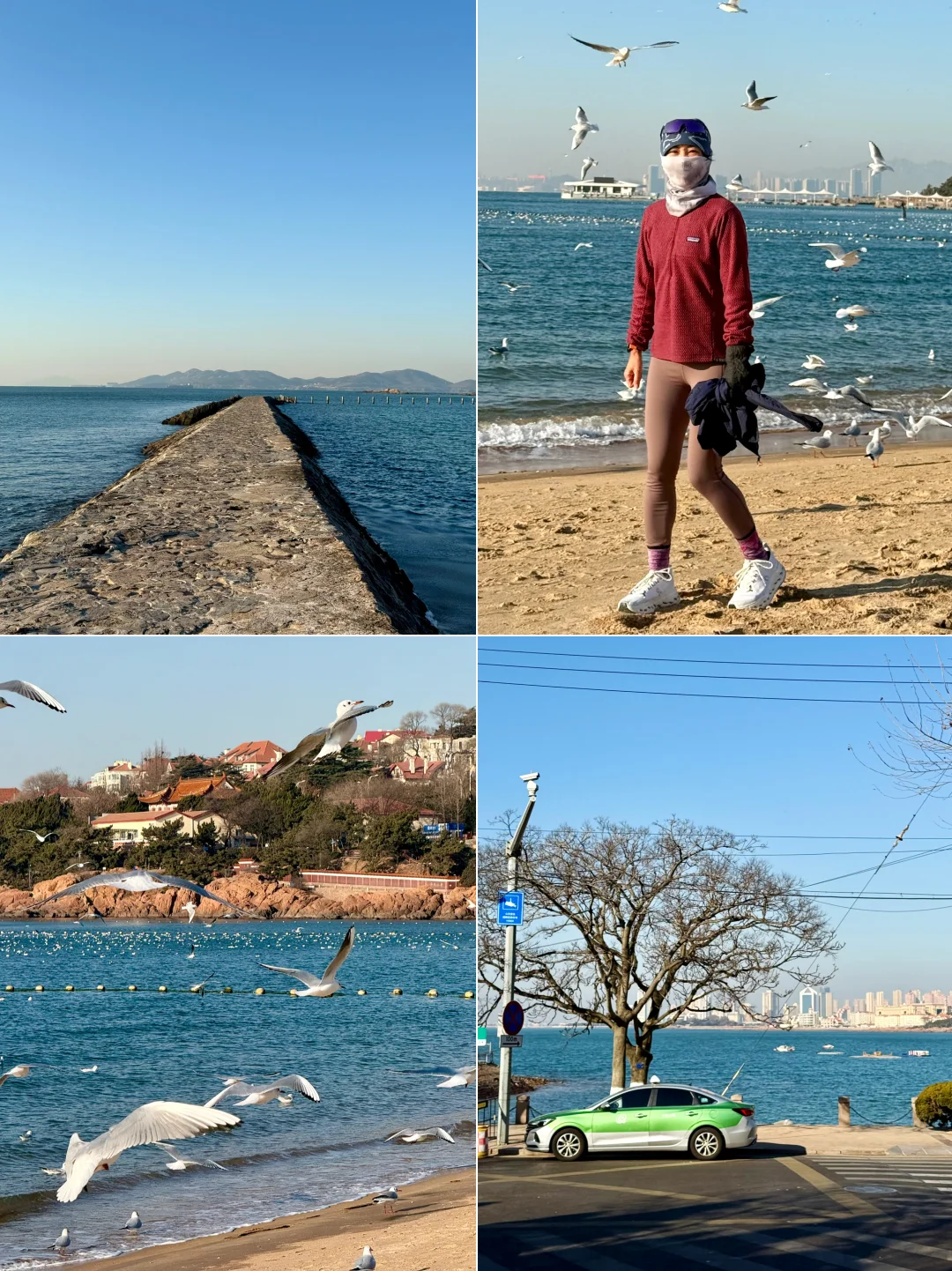 青岛真不适合冬天来！