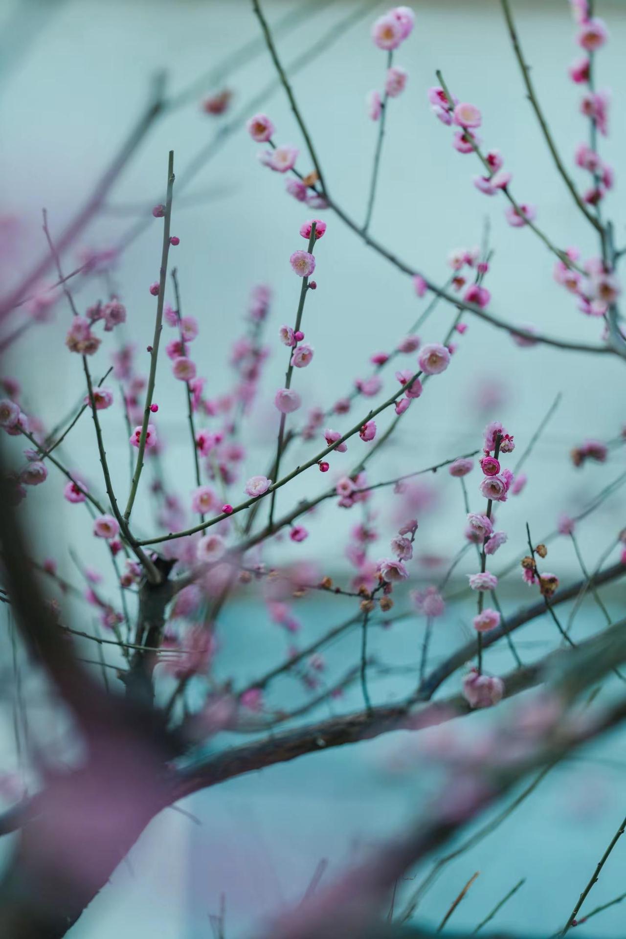 宜昌市街头散步！在宜昌的街头上走一走，哦呜哦！贾樟柯导演的三峡好人已经变化太大了