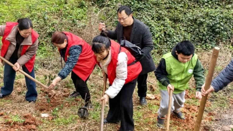 从“青”出发，向绿而行——益阳共青团植树节志愿服务活动掠影
