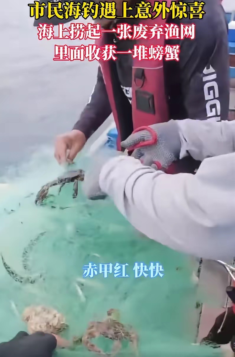烟台这位海钓大哥真是意外撞上了“海洋盲盒”，一网捞起满桶赤甲红和梭子蟹，看着确实