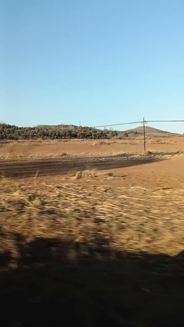 就让我懂了吧。两小只青青，出魏州。