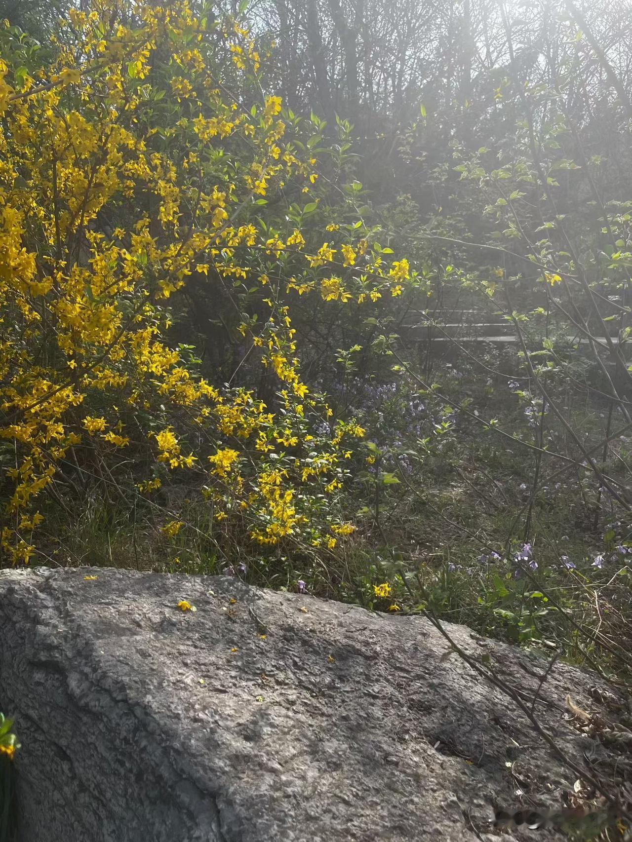 成熟的人都会10种为人处世方式：取悦自己是终身课题。1. 见招拆招：问题是生活的