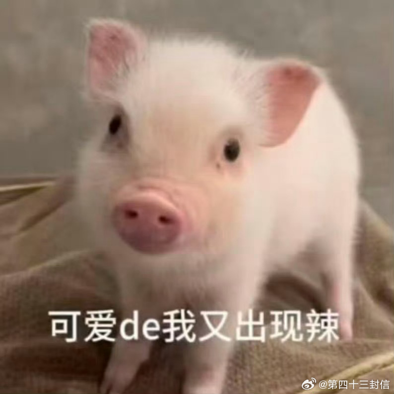分享图片
