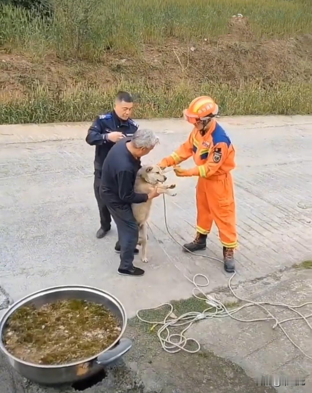贵州惊现恶犬咬人事故，恶犬的主人外出打工，狗狗长期处于无人看管的放养状态，野性越
