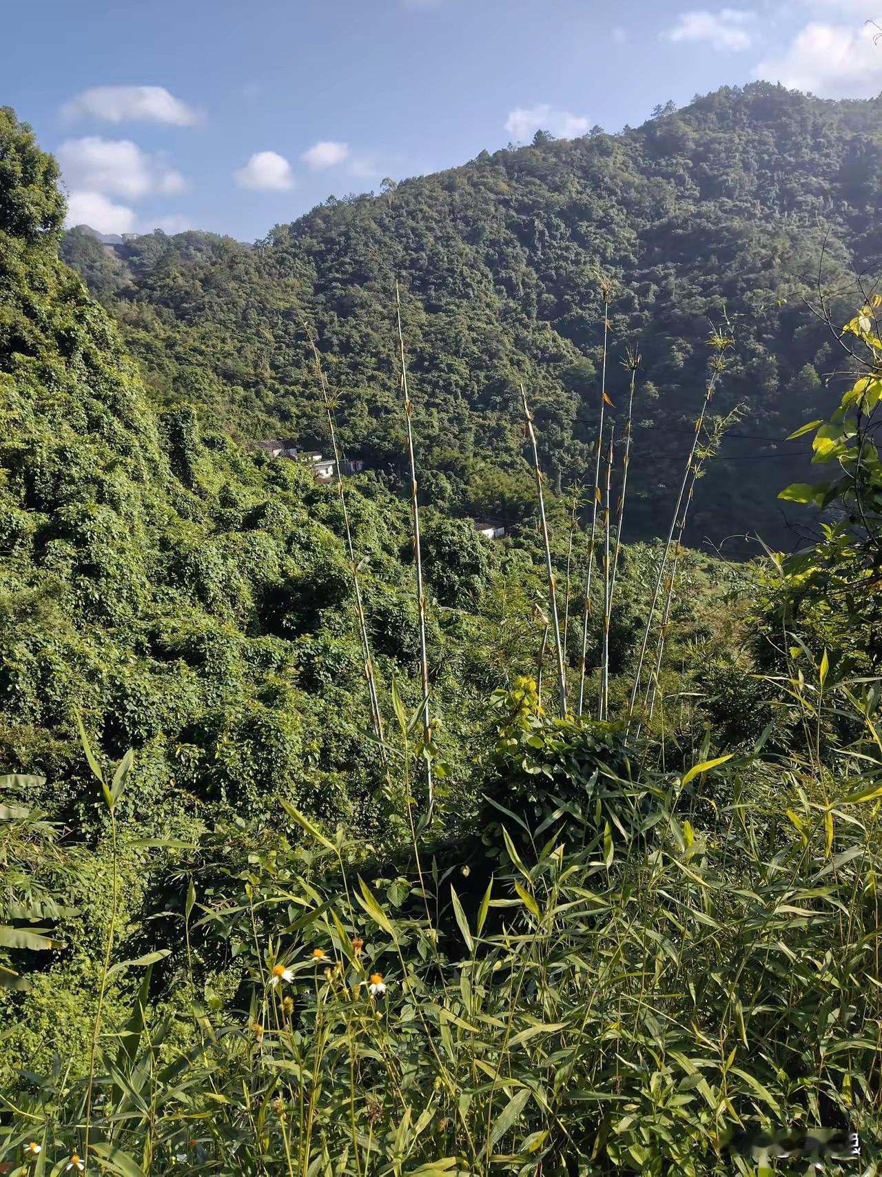 这张图片一出，你会想到中国哪个省份。
问了100个，99个说是贵州。
其实都猜错