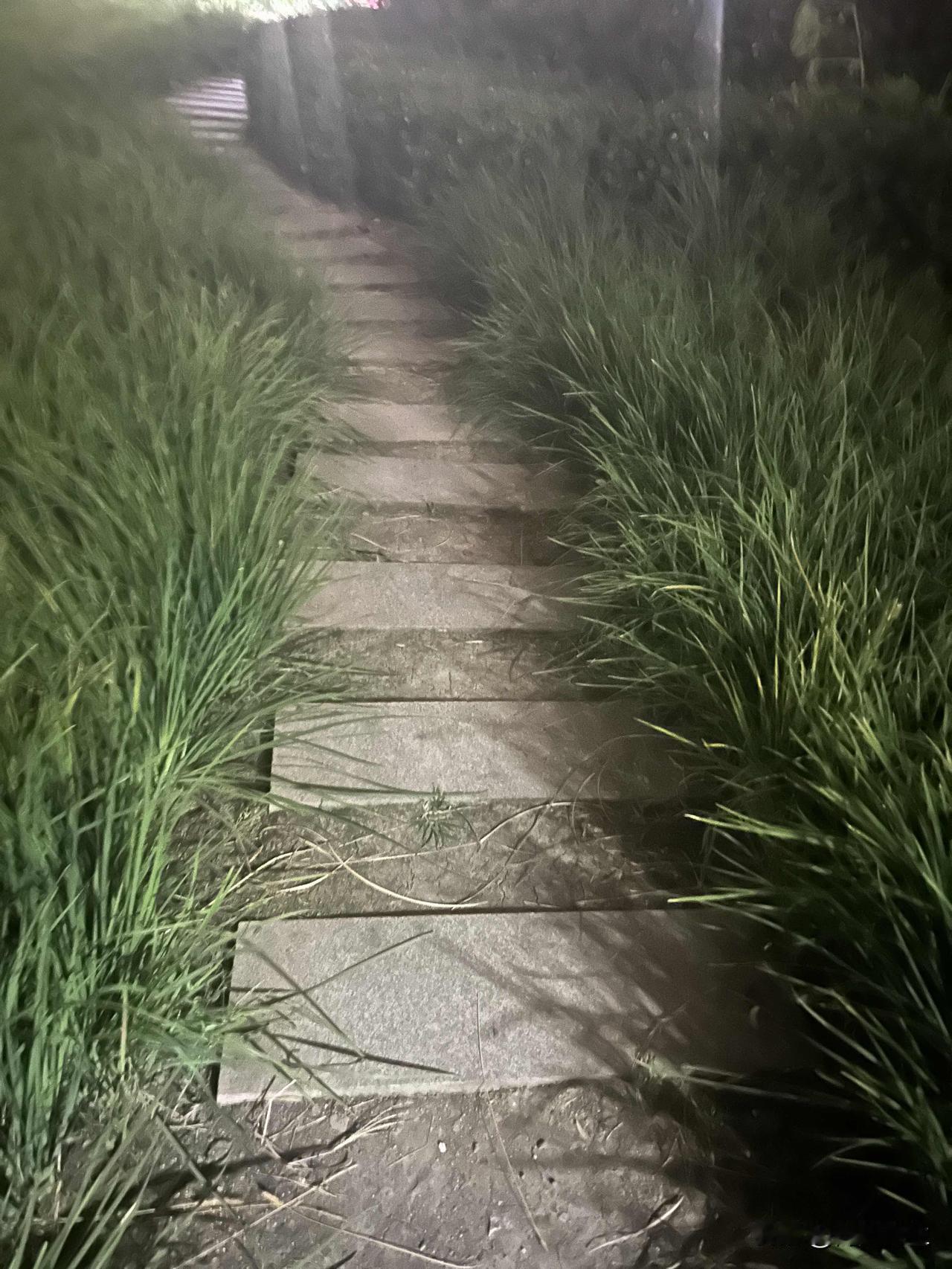 今天是躺平的一天，这么多年从来都没有白天睡觉的习惯，却因为感冒而睡了一整天。
