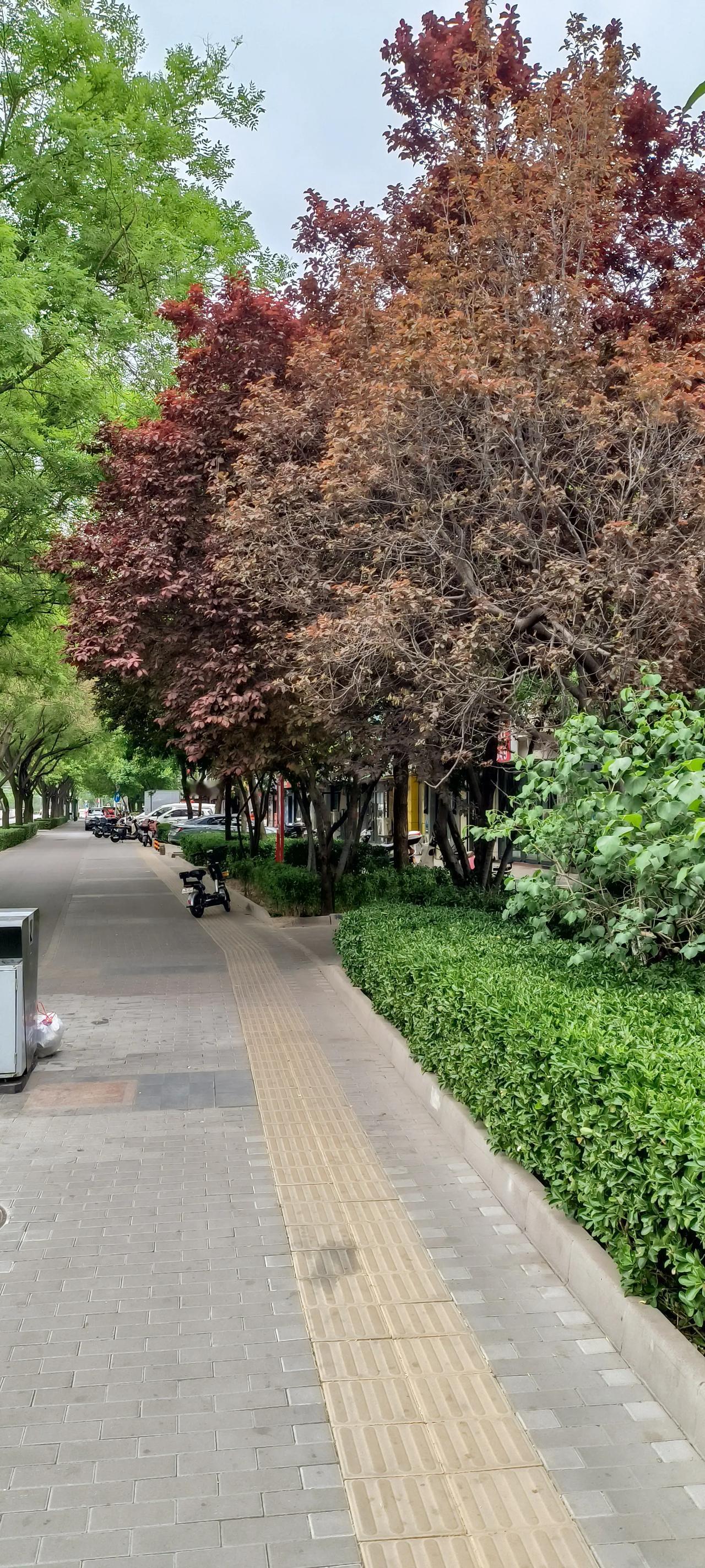 老家的豆花能否搞成民俗活动

       据北京日报报道，海淀区苏家坨地区立夏