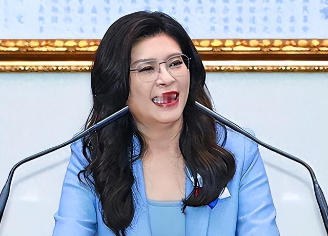 四大蓝营大佬，各怀心思，要把郑丽文拉下水！
国民党现在是个内斗内行、外斗外行。当