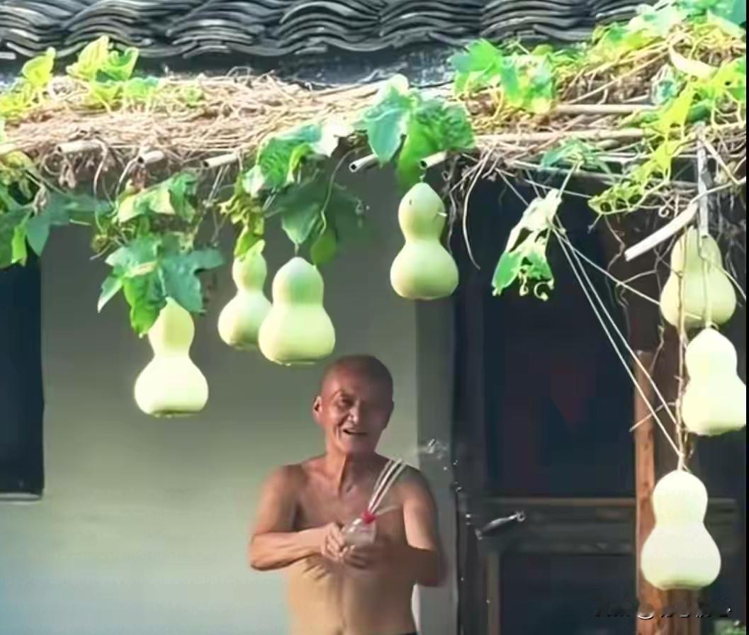 7个葫芦仓促落幕！一场意外走红，撕开流量最现实的一面
 
绍兴书圣故里的七个葫芦