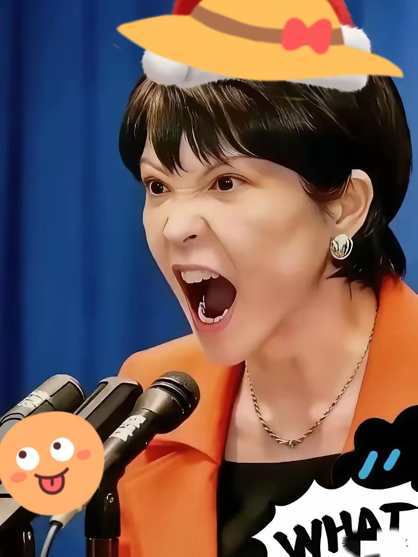 日本政府决定​2026年4月15日，日本政府宣布了一个重要决定，因为中东局势持续