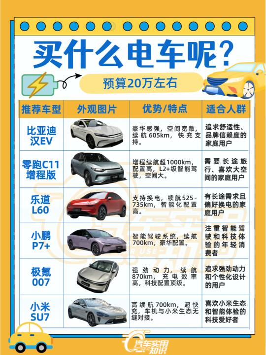 预算20万买什么电车？