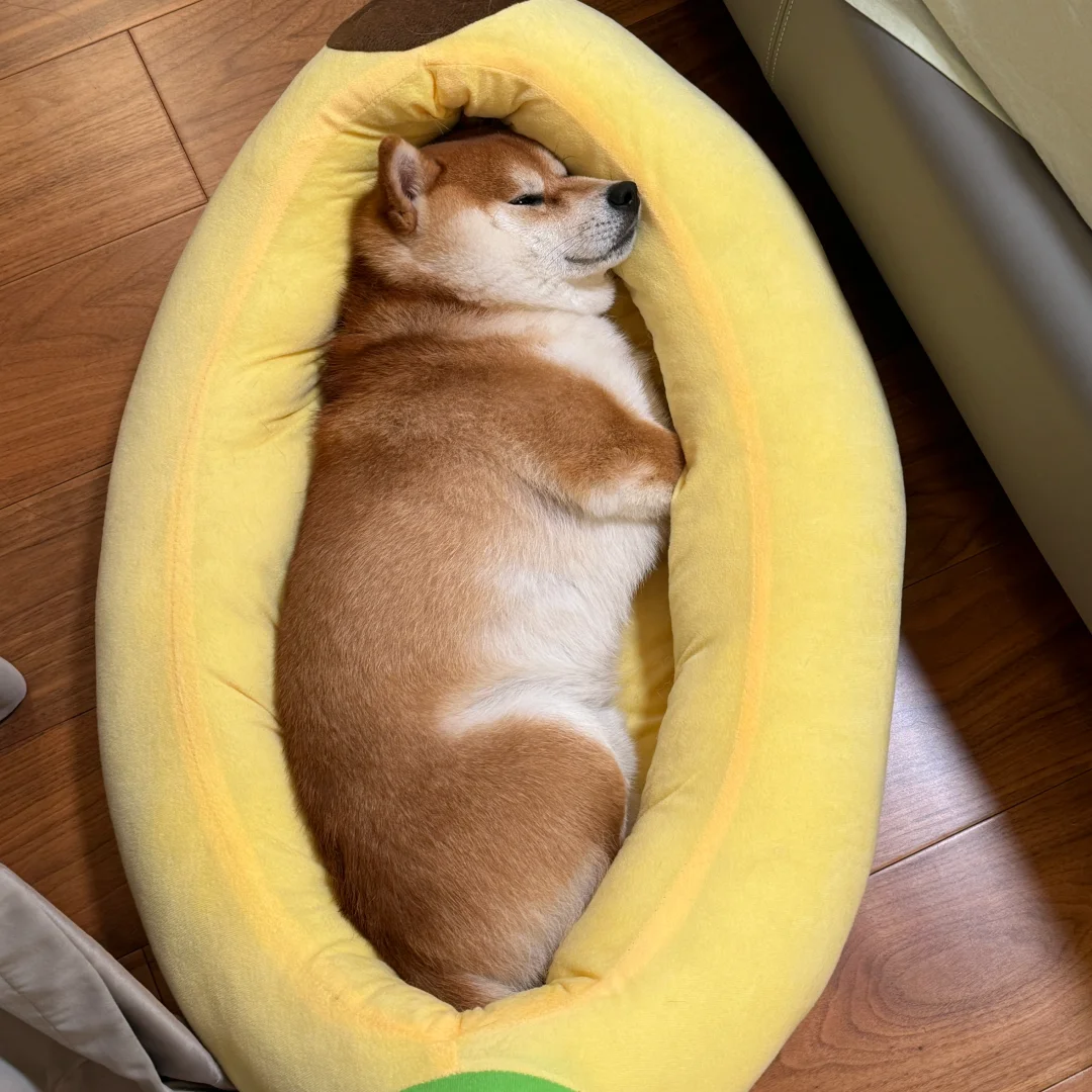 晚安玛卡巴卡