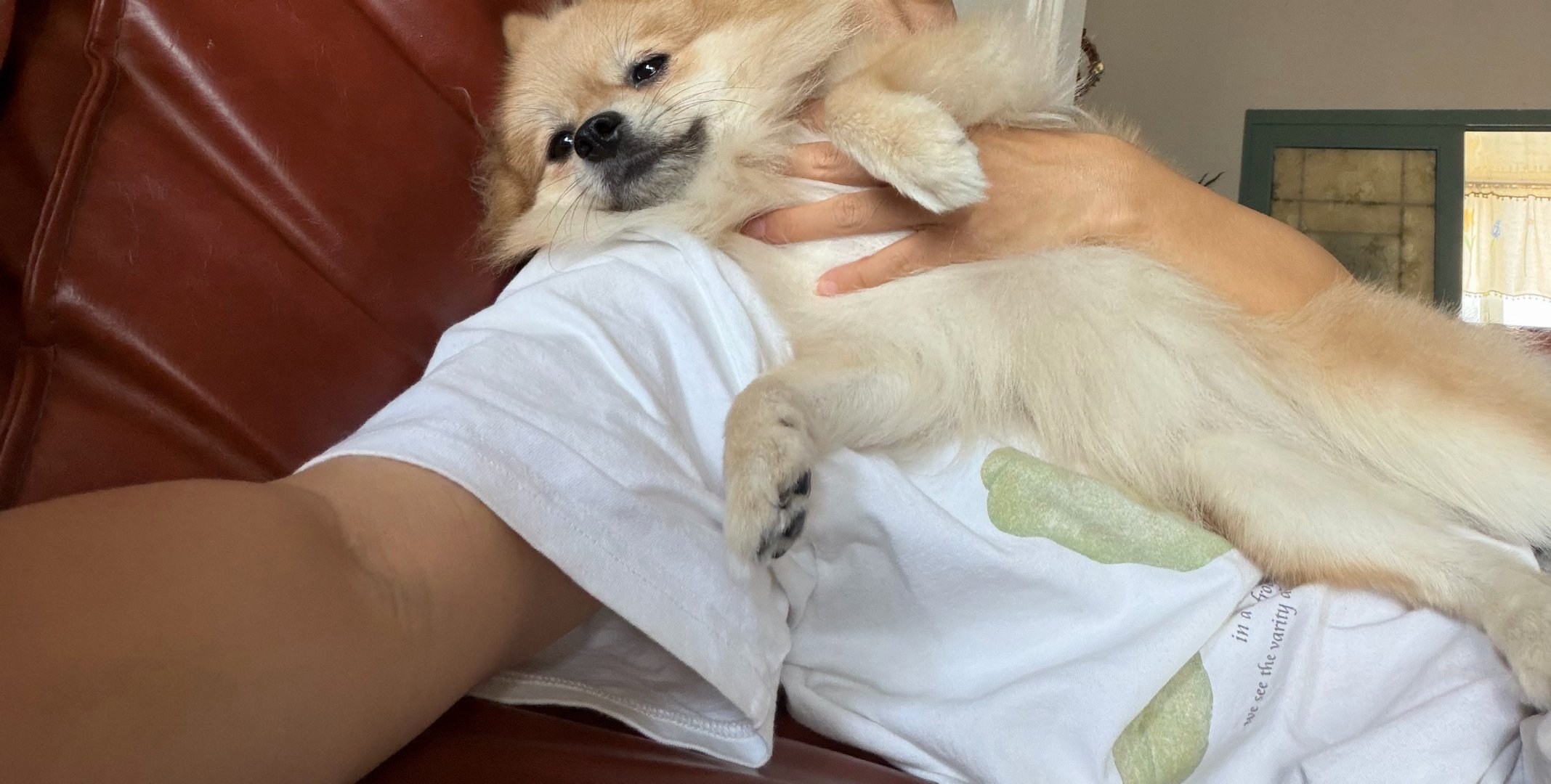 每天上班前就是在家带带孩子 ​​​