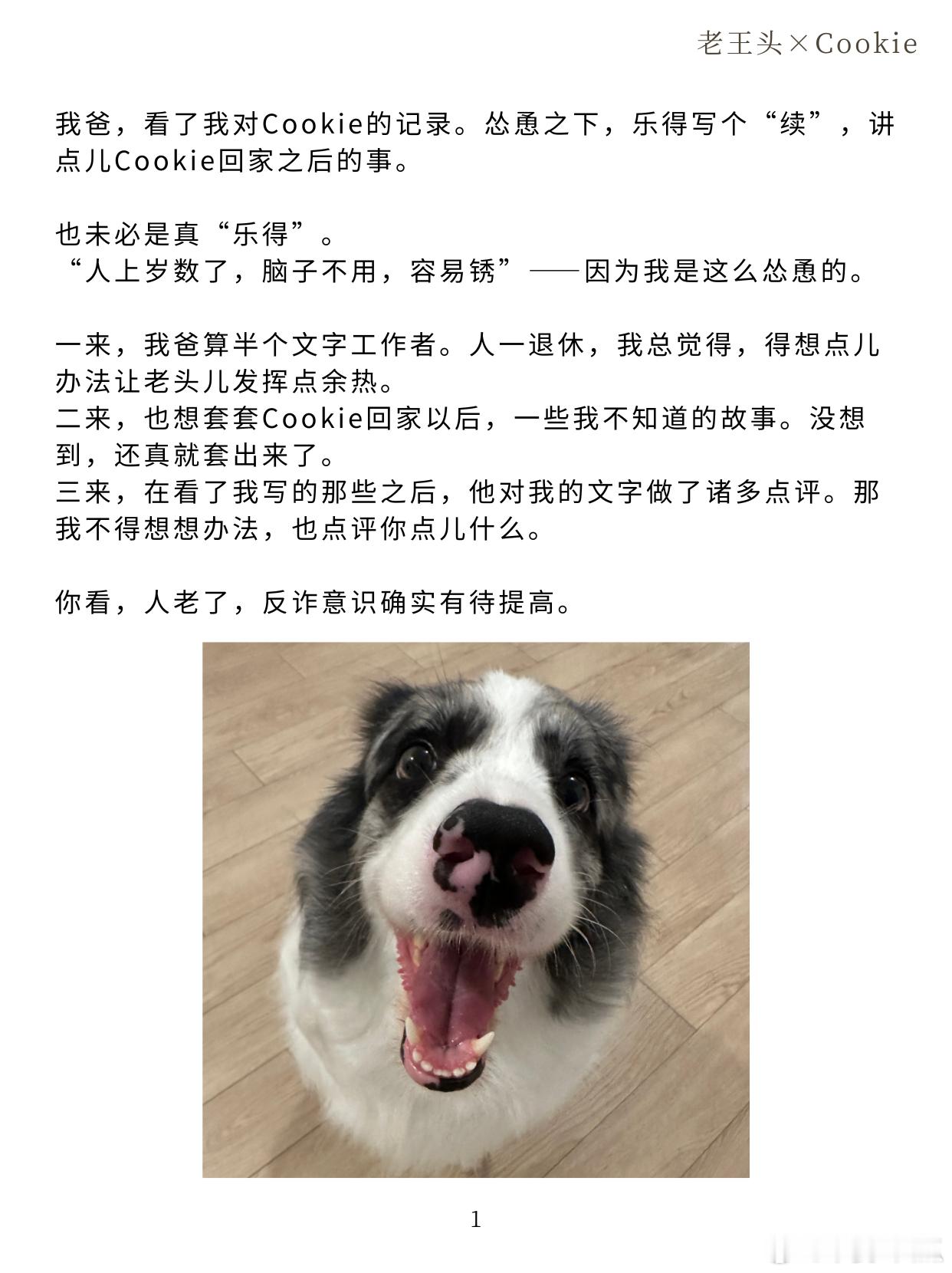 王勉父亲笔下的小狗Cookie 从王勉的日记到父亲的随笔，完整拼凑出Cookie