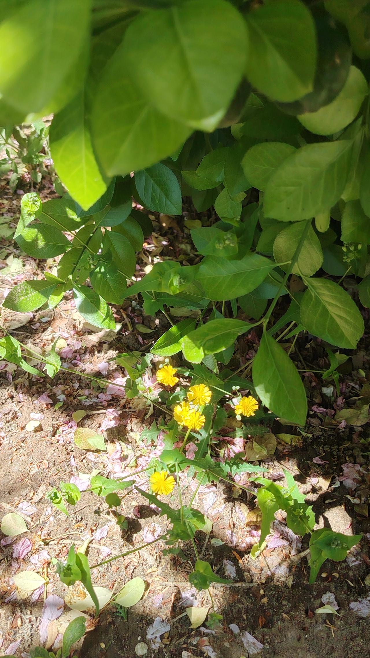 与其在别人的剧本里当配角，不如在自己的生活里做主角。

小故事：一位职场女性长期