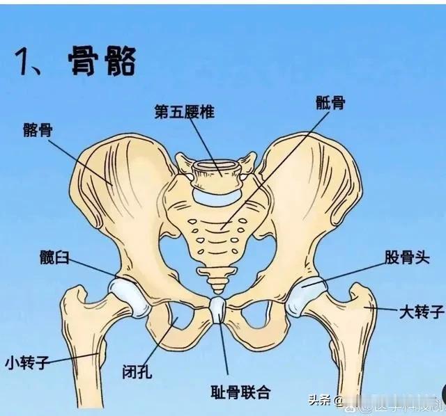 我每次二环高架过都感觉从髋骨下面穿过去[捂脸]