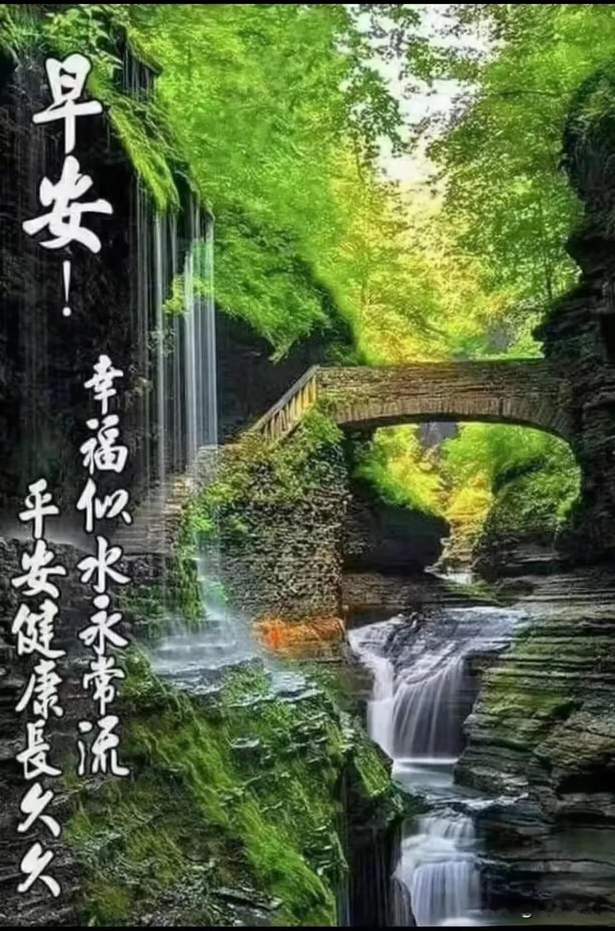 不必追逐万丈光芒，守住内心一份平和，便是最好的时光，祝晨起顺遂。